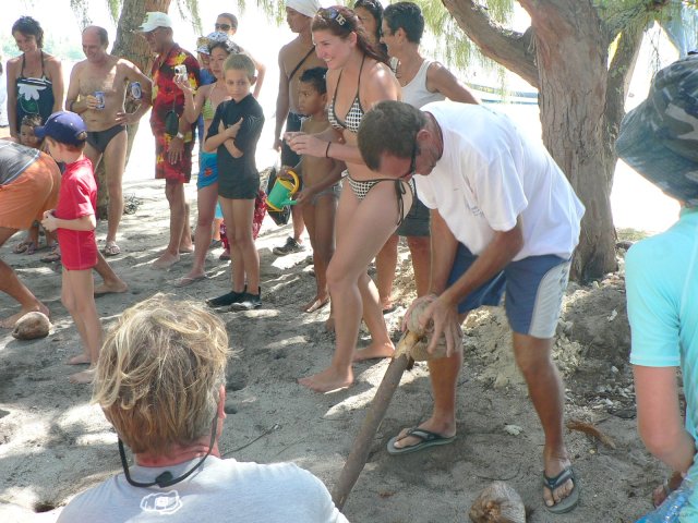 100- Concours de rapidite pour le debourrage des cocos 